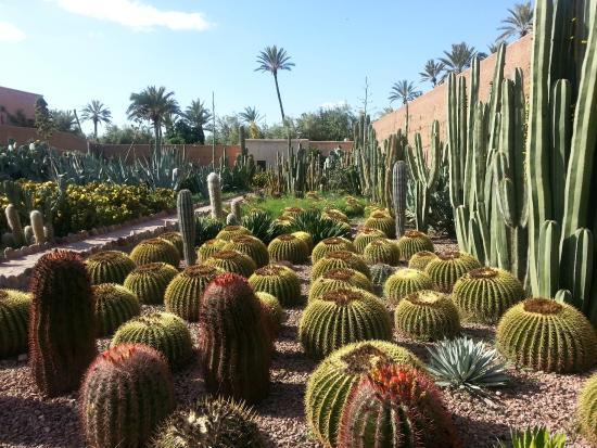 Museum of the Palmeraie